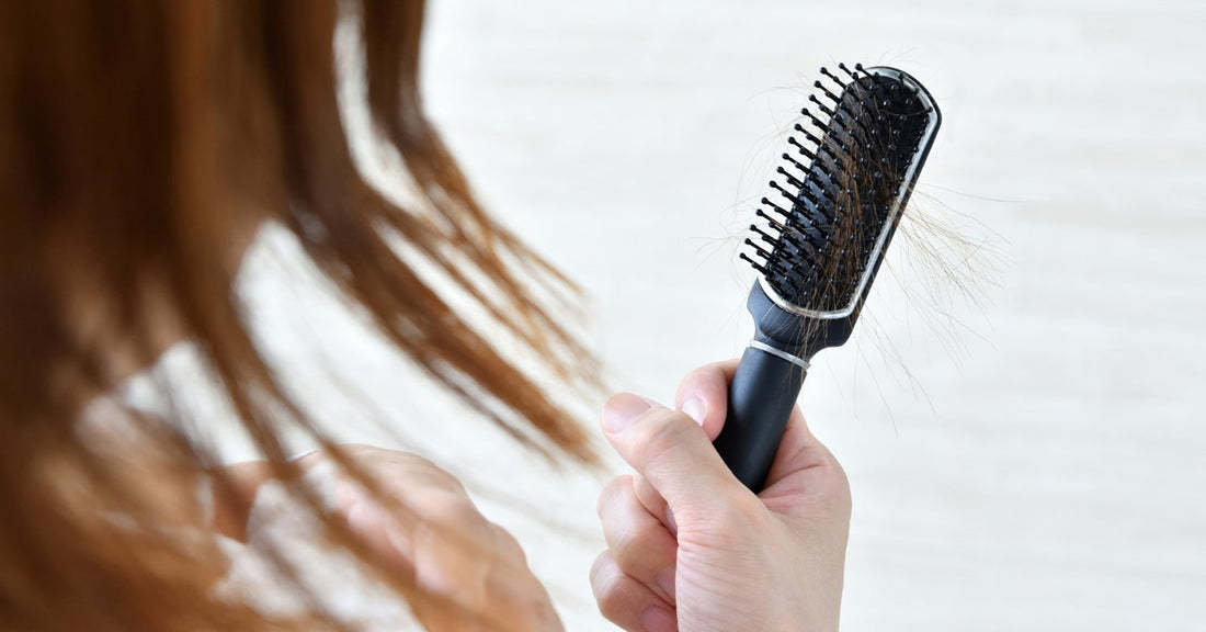 Woman showing hair brush with hair breakage