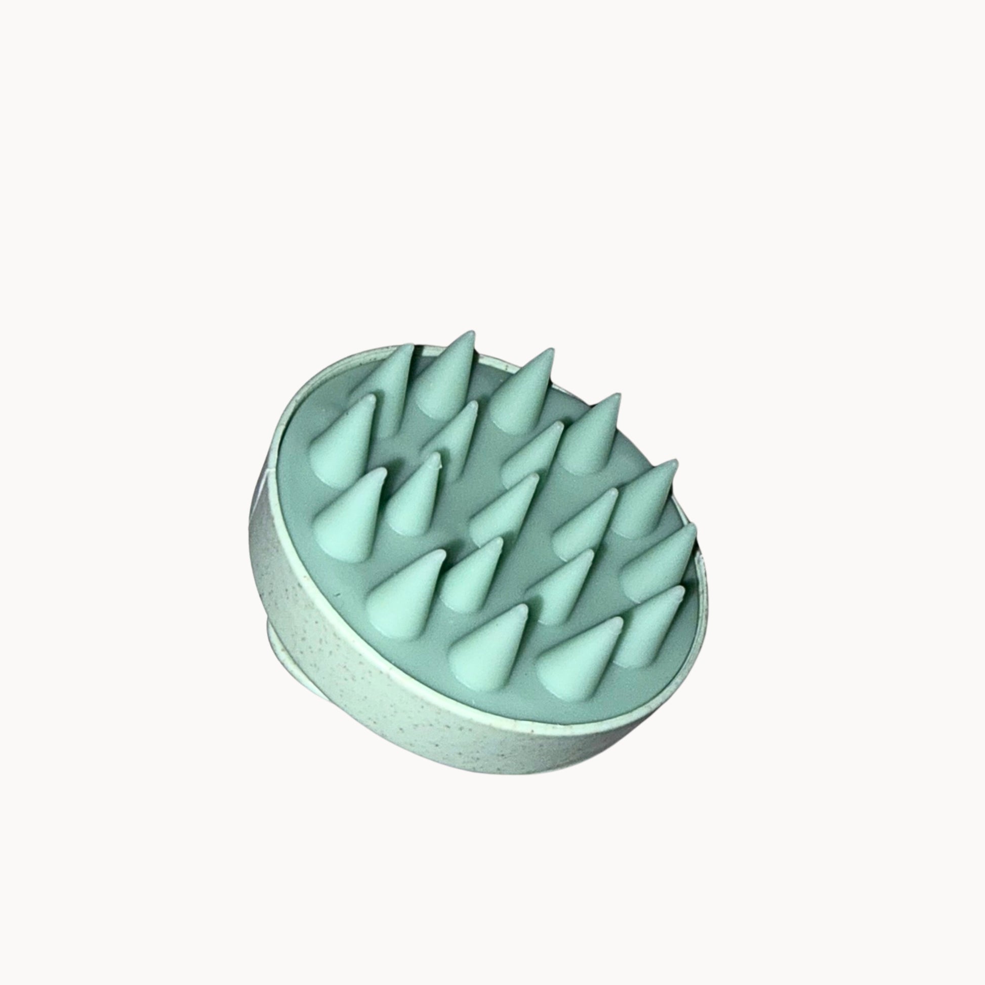 Mint green grooming brush with pointed bristles on a white background